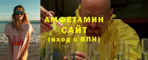 мет Алексин