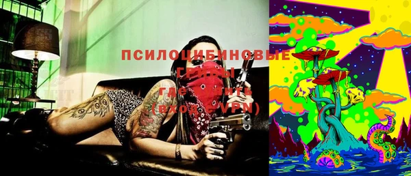 мдпв Абаза