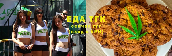 мет Алексин